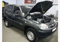   -30   Chevrolet Niva 2011?